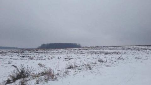 Clawing Upwards - Facade19.jpg