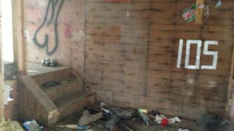 Shed Behind The Bush - Melancthon, Ontario