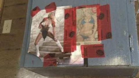 Shed Behind The Bush photo 5