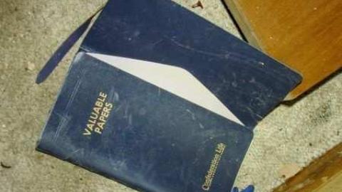 Cold Presents - Teston-Teston-1-2-324.jpg