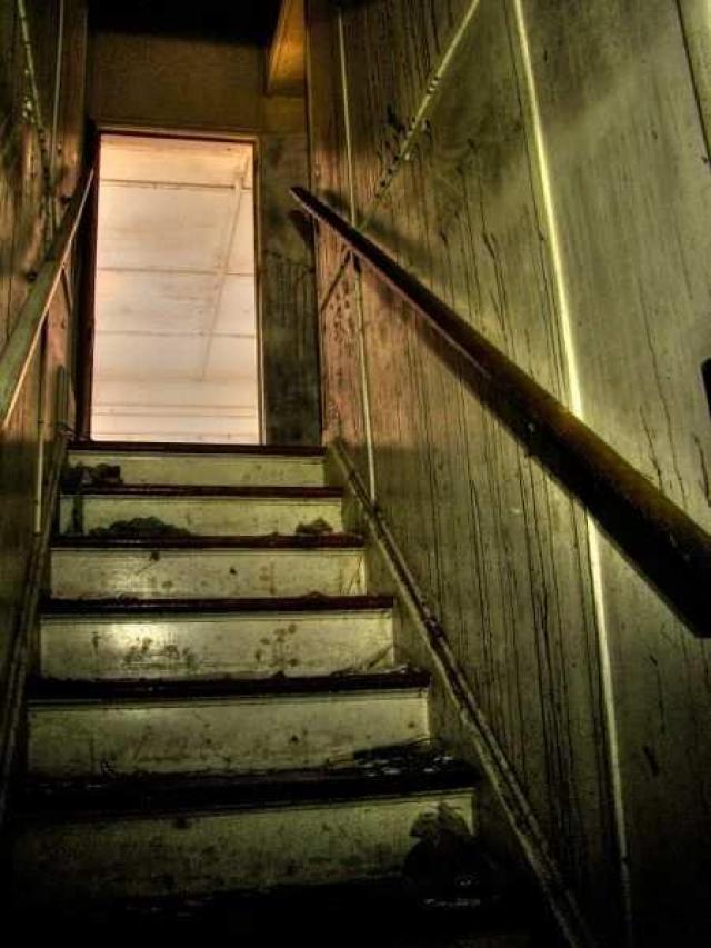 Teston Teston 1 2 3 photo 5