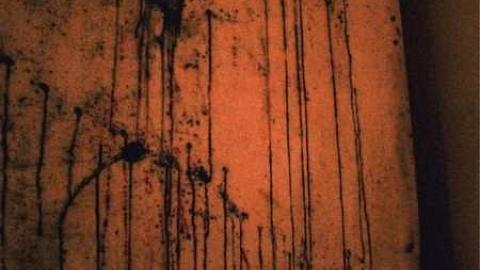 Cold Presents - Teston-Teston-1-2-312.jpg