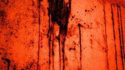 Cold Presents - Teston-Teston-1-2-311.jpg