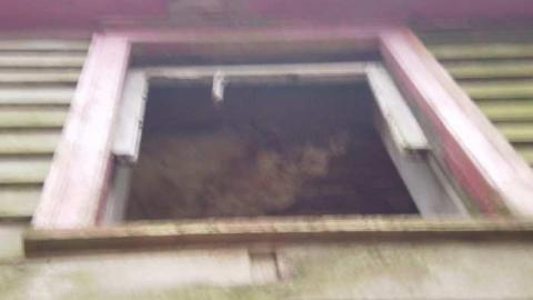 Creepy Creep House - PA200192.jpg