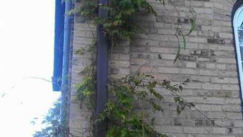 Bethel Church - Bethel-Church-1861--Cemetery19.jpg