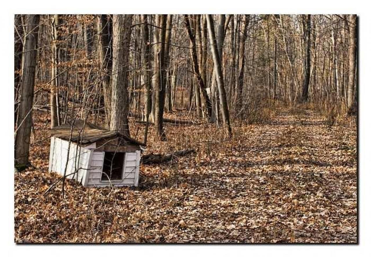 Second visit - IMG_6494xx.jpg