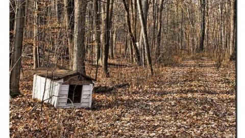 Second visit cover photo