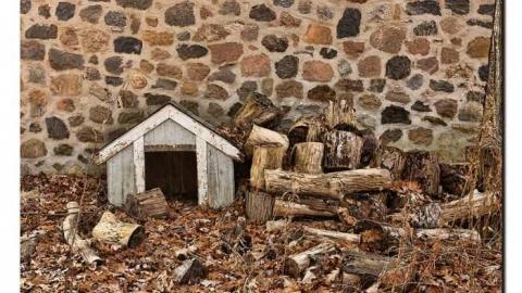 Second visit - IMG_6496xx.jpg