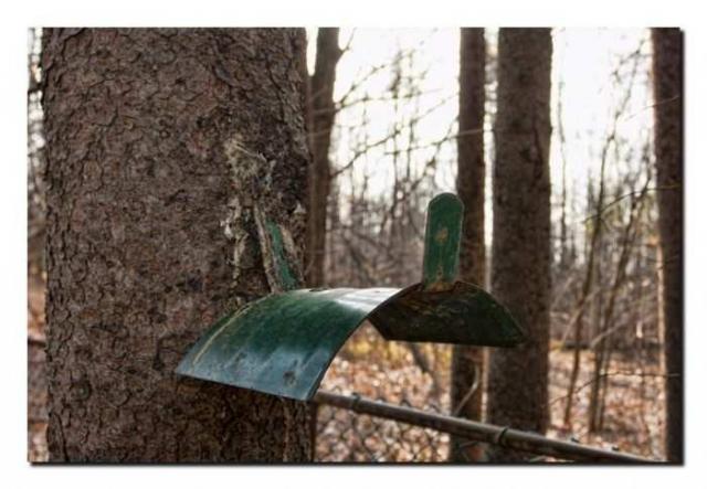 Second visit - IMG_6499xx.jpg