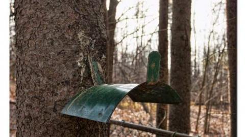 Second visit - IMG_6499xx.jpg