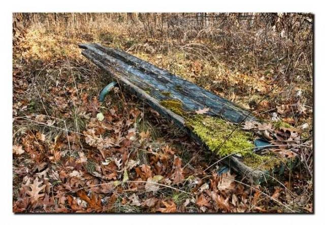 Second visit - IMG_6504xx.jpg