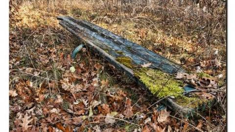 Second visit - IMG_6504xx.jpg