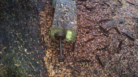 Barn/Mill Foundation - Purcells-Mill--Twyn-Rivers23.jpg