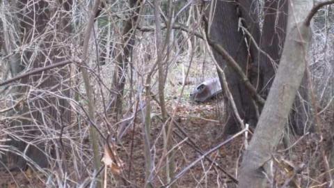 Barn/Mill Foundation - Purcells-Mill--Twyn-Rivers14.jpg