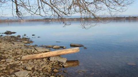 Gallery - Battle-of-the-Windmill20.jpg