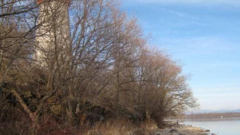 Gallery - Battle-of-the-Windmill21.jpg