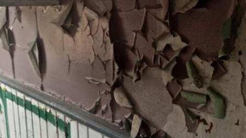 Spectacular - IMG_1329.jpg