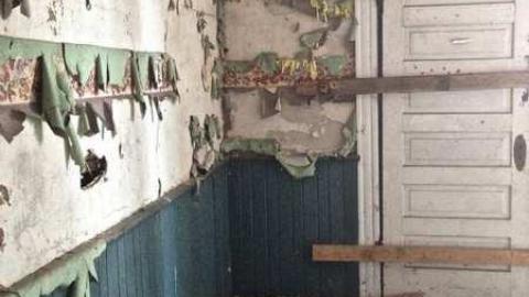 Spectacular - IMG_1330.jpg