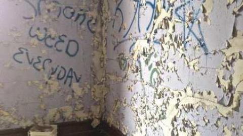 Spectacular - IMG_1331.jpg