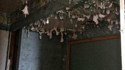 Spectacular - IMG_1335.jpg