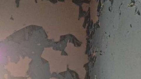 Spectacular - IMG_1337.jpg