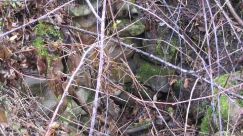 House Foundation - Purcells-Mill--Twyn-Rivers10.jpg