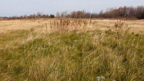 Dec 1, 2012 - Ridley-Golf-and-Driving-Range11.jpg