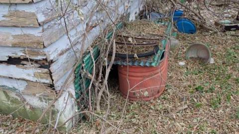 Dec 1, 2012 - 005.jpg