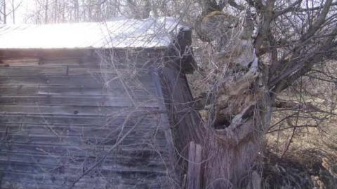 Small Barn & 2 Homes - Calabogie-Small-Abandoned-Barn8.jpg