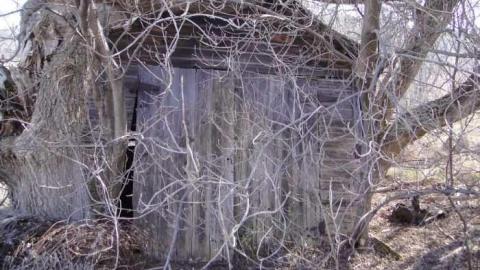 Small Barn & 2 Homes - Calabogie-Small-Abandoned-Barn4.jpg