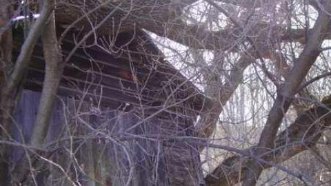 Small Barn & 2 Homes - Calabogie-Small-Abandoned-Barn9.jpg