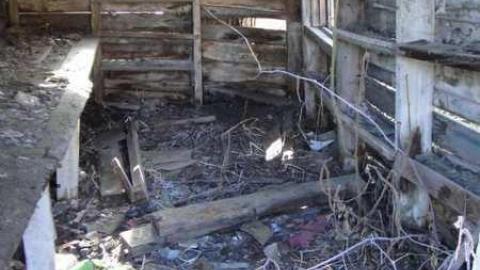 Small Barn & 2 Homes - Calabogie-Small-Abandoned-Barn10.jpg