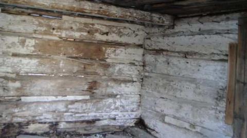 Small Barn & 2 Homes - Calabogie-Small-Abandoned-Barn1.jpg