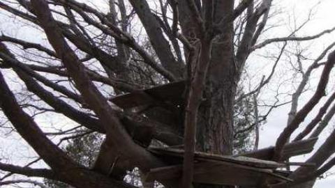 Big Red - DSC07557.jpg