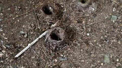 All Interior  - Melancthon-(ghost-town)86.jpg