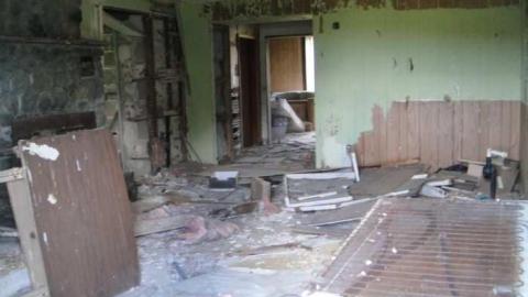 Muted Webb's - DSC03771.jpg