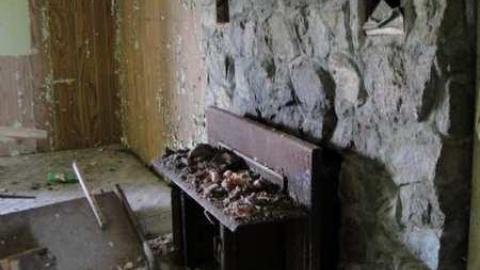 Muted Webb's - DSC03773.jpg