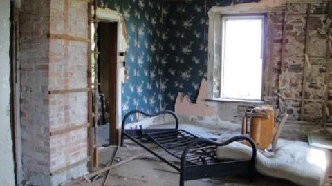 Muted Webb's - DSC03781.jpg