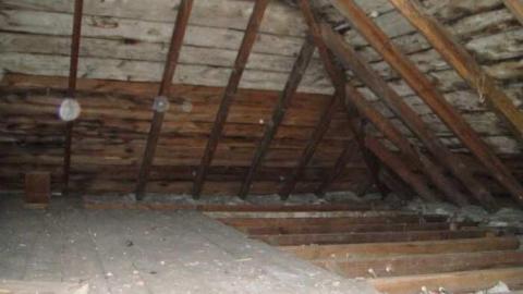 Muted Webb's - DSC03789.jpg