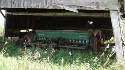 Muted Webb's - DSC03796.jpg