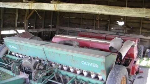 Muted Webb's - DSC03797.jpg