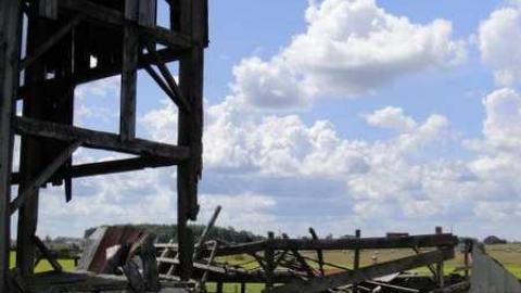 Muted Webb's - DSC03798.jpg