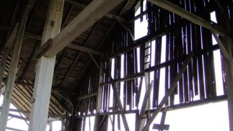 Muted Webb's - DSC03799.jpg