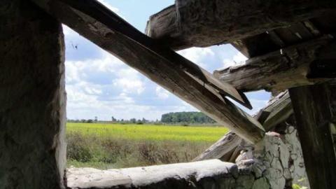 Muted Webb's - DSC03815.jpg