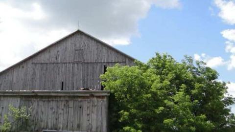 Muted Webb's - DSC03824.jpg