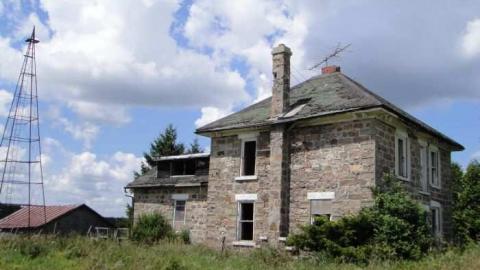 Muted Webb's - DSC03825.jpg