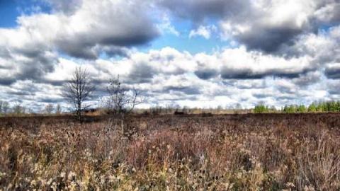 Willick in Autumn - Eternal-Union-(Willick-Burial)10.jpg