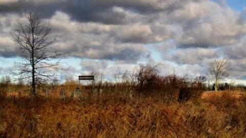 Willick in Autumn - Eternal-Union-(Willick-Burial)4.jpg