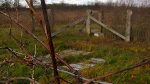 Willick in Autumn - Eternal-Union-(Willick-Burial)12.jpg