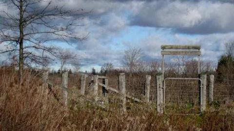 Willick in Autumn - Eternal-Union-(Willick-Burial)8.jpg